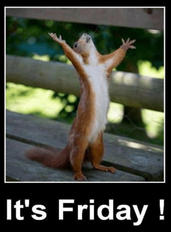 Screen Shot 2016-06-03 at 07.53.58.png