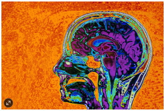 Screen Shot 2016-06-27 at 13.45.56