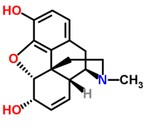 Screen Shot 2017-04-01 at 12.18.39