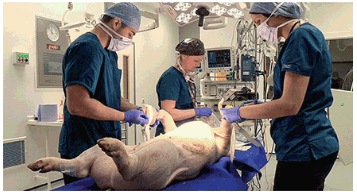 Screen Shot 2017-07-14 at 16.40.36